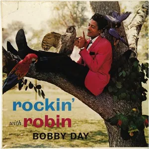 Rockin' with Robin